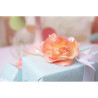 Sizzix Effectz Liquid Gloss 30ml