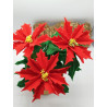 Fustella A4+XL Kit 2 fustelle Stelle di Natale grandi