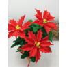 Fustella A4+XL Kit 2 fustelle Stelle di Natale grandi