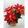 Fustella A4+XL Kit 2 fustelle Stelle di Natale grandi