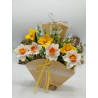Fustella M Narcisi e daffodil