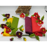 Pannolenci 1 mm  - KIT 5 colori Bouquet di viole