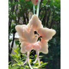 Fustella S Fiori pasquali
