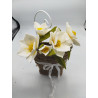 Fustella XL Magnolie