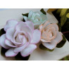 Fustella M Rosa soffio