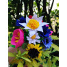 Set 6 Fustelline Fiori di campo
