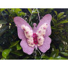 Fustella A4 Butterfly chic