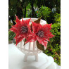 Fustella A4 Poinsettia glamour