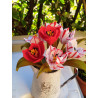 Fustellina Tulipani di gennaio