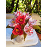 Fustellina Tulipani di gennaio