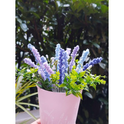 Fustellina XS Lavanda o pistillo