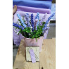 Fustellina XS Lavanda o pistillo