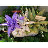 Fustella M Aloe e succulenta