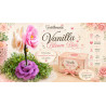 Box creativo Progetto Vanilla bloom