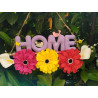 Fustella XL Home