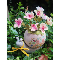 Box Lumachina con Fiori di Pesco Giapponese🌸