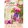 BOX Il folletto della portulaca