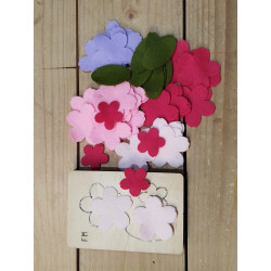 Fustella S Fiori di portulaca