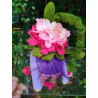 Fustella S Fiori di portulaca