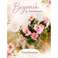 Fustella S Begonia