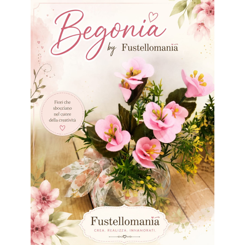 Fustella S Begonia