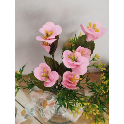 Fustella S Begonia