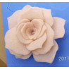 Fustella A4 Rosa