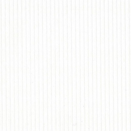 Carta Bazzill Classic Eggshell 30,5 x 30,5 5 fogli