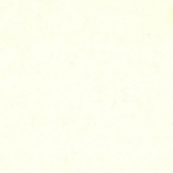Carta Bazzill Classic Natural 30,5 x 30,5 5 fogli