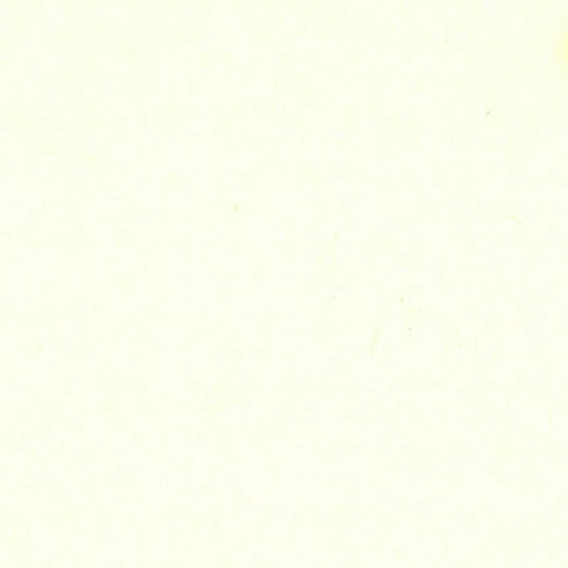 Carta Bazzill Classic Natural 30,5 x 30,5 5 fogli