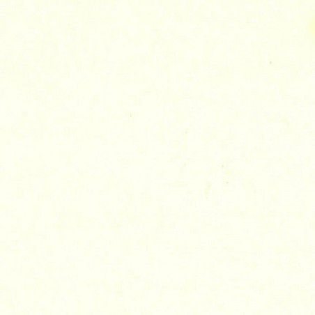Carta Bazzill Classic Natural 30,5 x 30,5 5 fogli